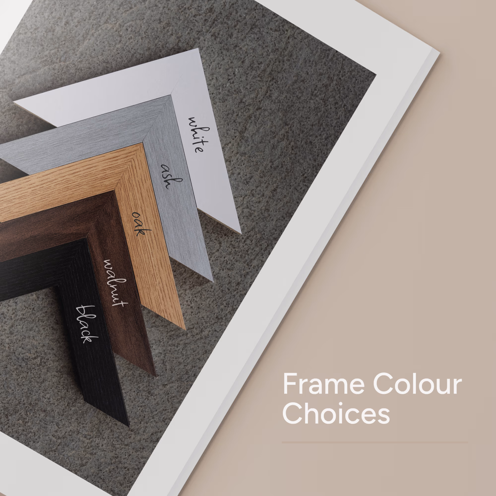 Frame colour choices